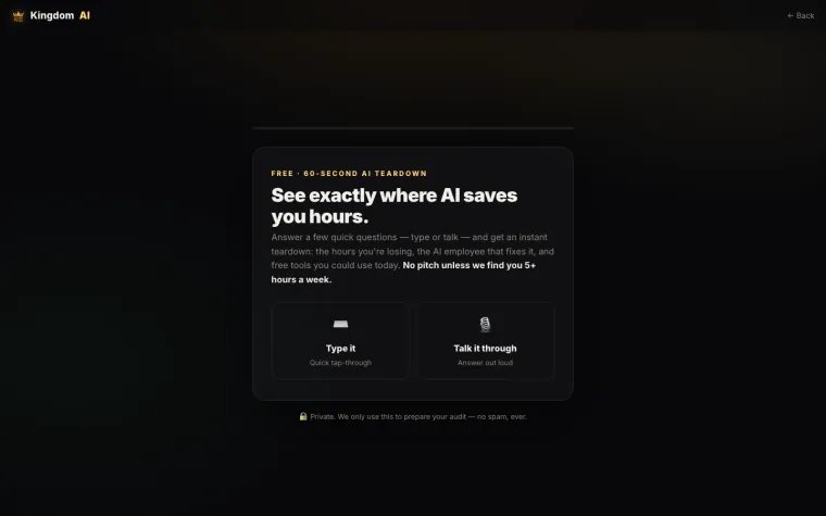 Kingdom AI free audit tool