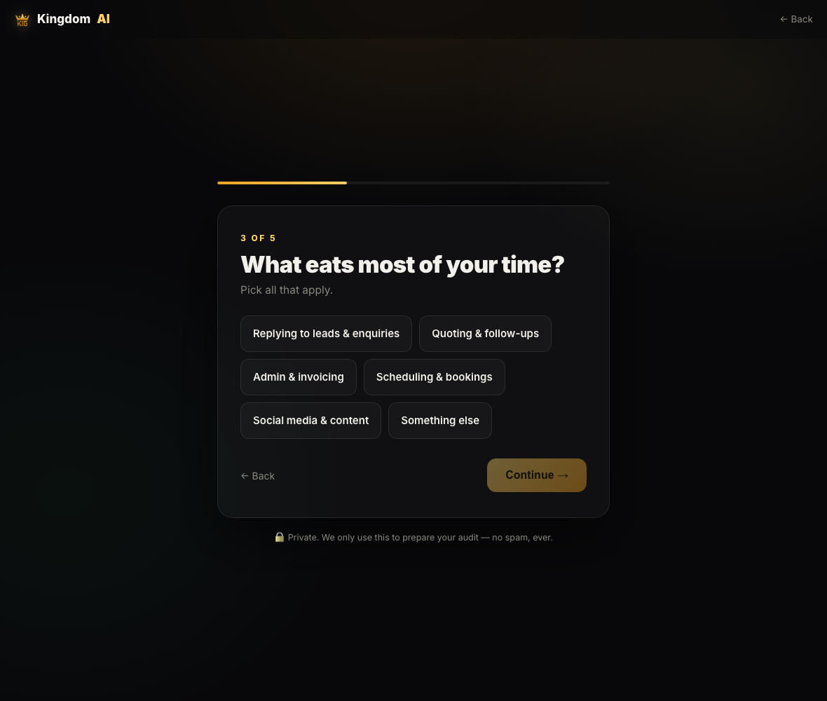 The AI audit asking qualifying questions